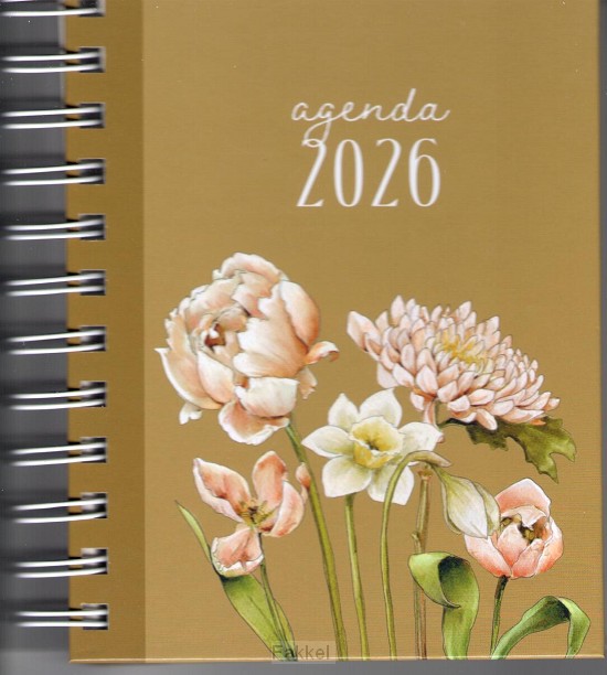 Agenda Studio Schilderachtig