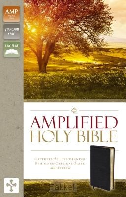 Amplified Bible