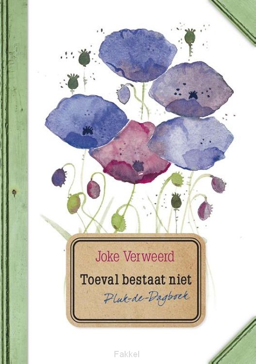 Toeval bestaat niet (dagboek)