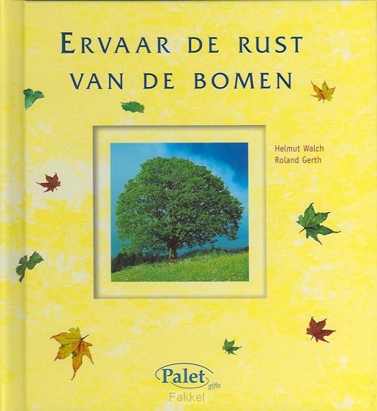 Ervaar de rust van de bomen