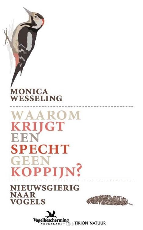 Waarom krijgt een specht geen koppijn?