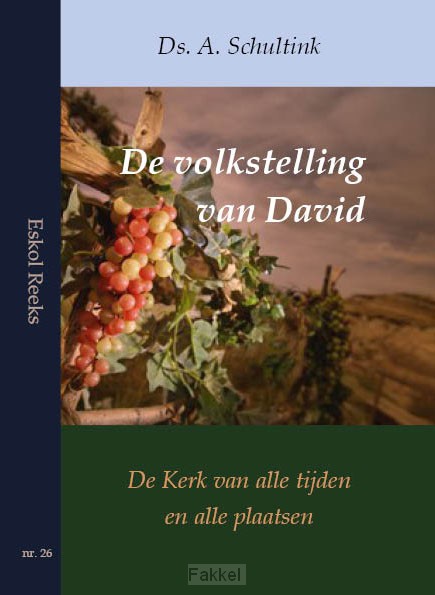 Volkstelling van david