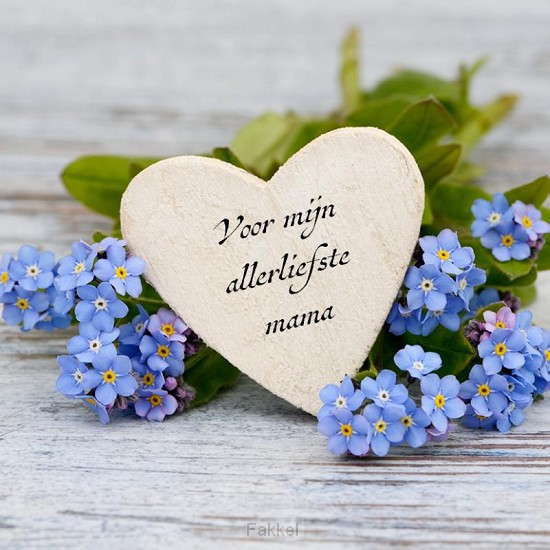 Voor mijn allerliefste mama + pen janet