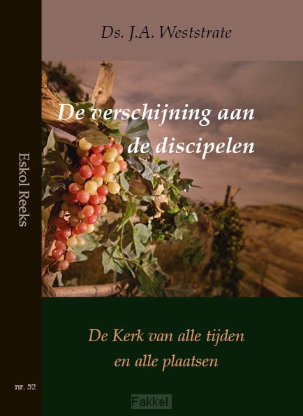 Verschijning aan de discipelen