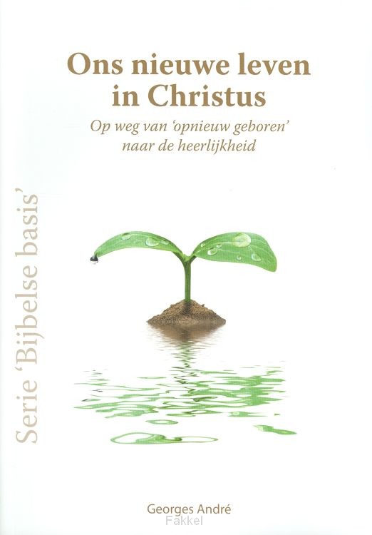 Ons nieuwe leven in Christus