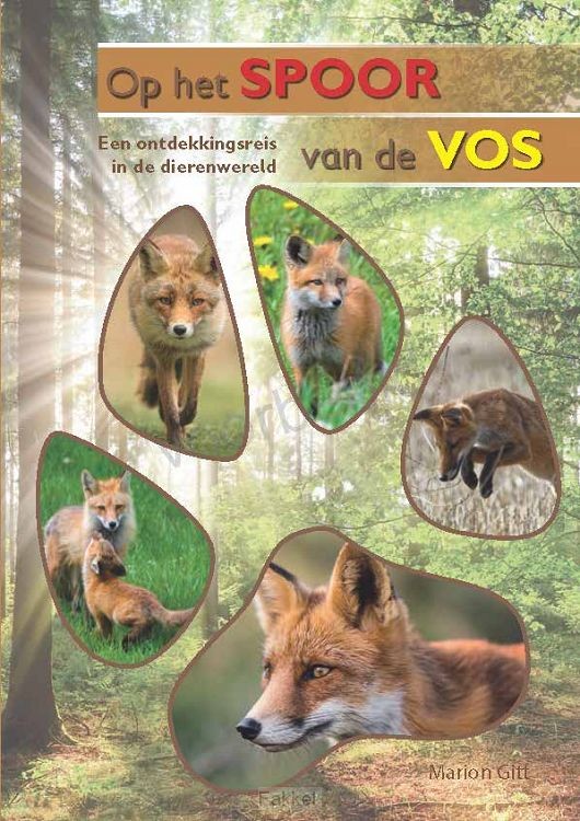Op het spoor van de vos