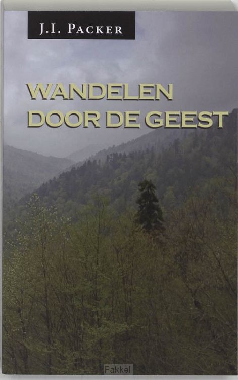 Wandelen door de geest
