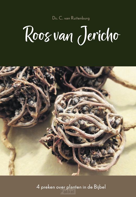 Roos van jericho