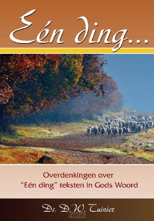 Een ding