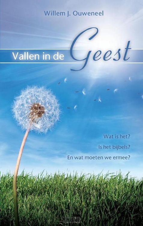 Vallen in de Geest