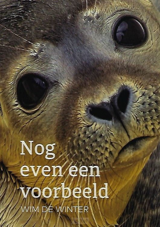 Nog even een voorbeeld