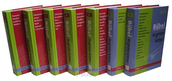 Bijbel in grote letter HSV NT