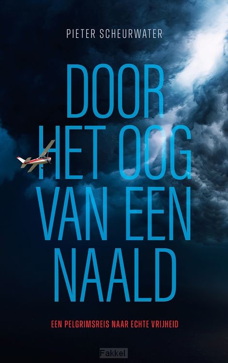 Door het oog van de naald