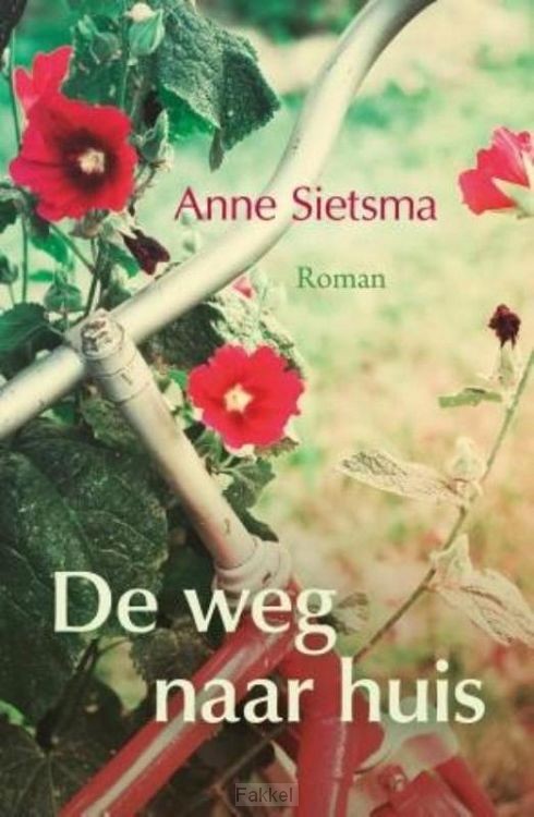 Weg naar huis