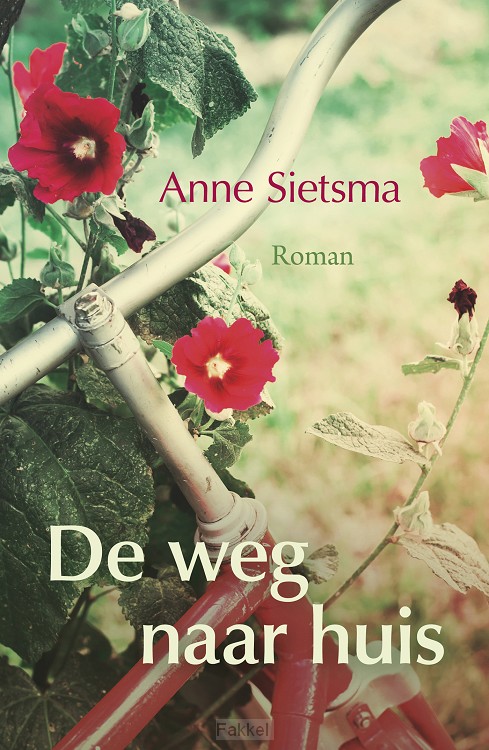 De weg naar huis