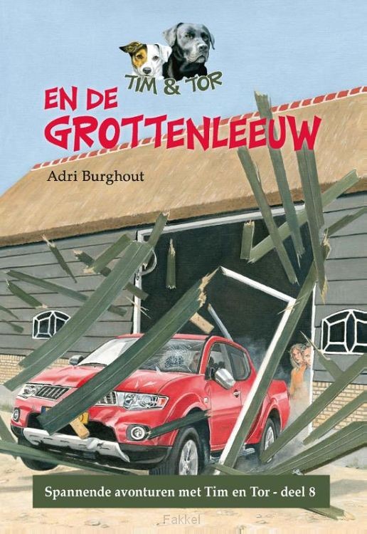 Tim en Tor en de grottenleeuw