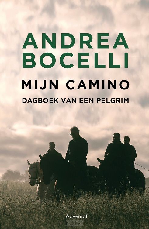 Mijn camino