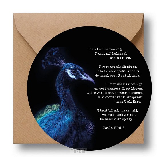 Cirkelcadeau, U ziet alles