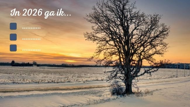 Goede voornemens 2026