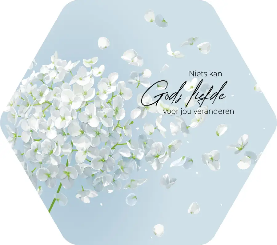 honingraat small 15cm, Gods liefde