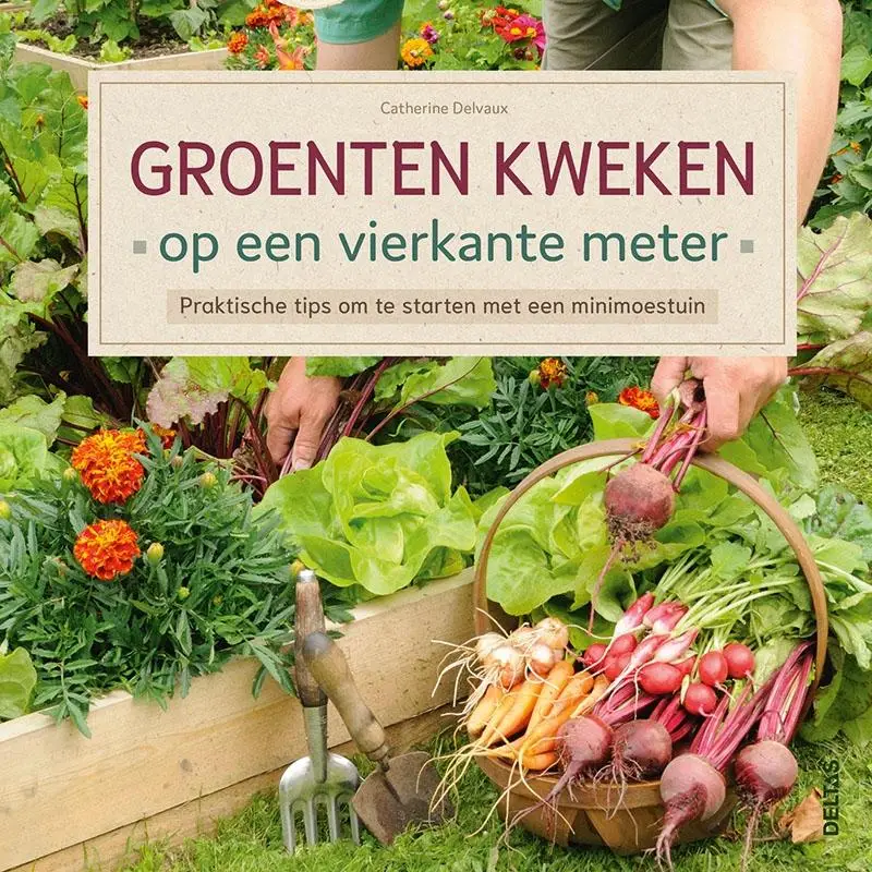 Groenten kweken op een vierkante meter