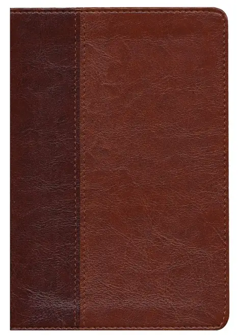 NLT Slimline reference bible indexed