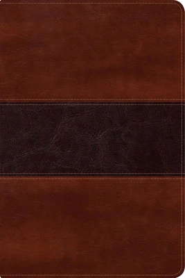 RVR1960 -  Biblia del Pescador letra gra