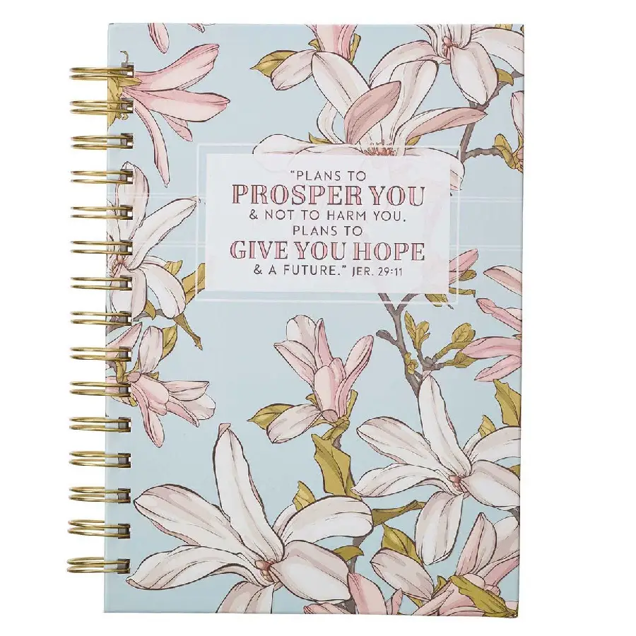 Plans to Prosper You - Jeremiah 29:11