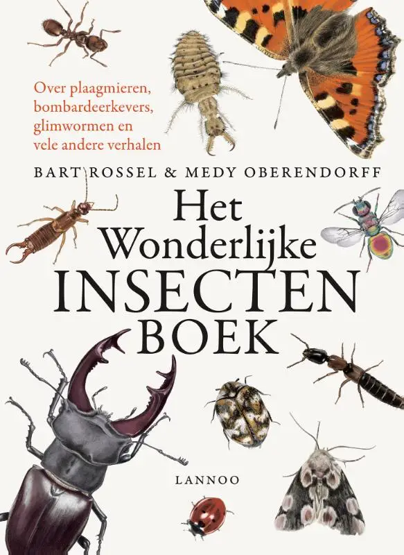 Wonderlijke insectenboek