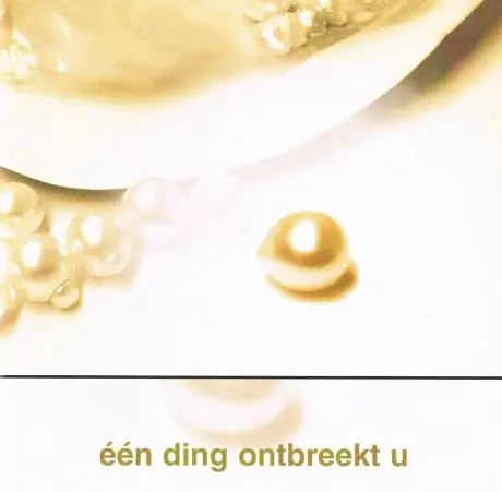 Een ding ontbreekt u