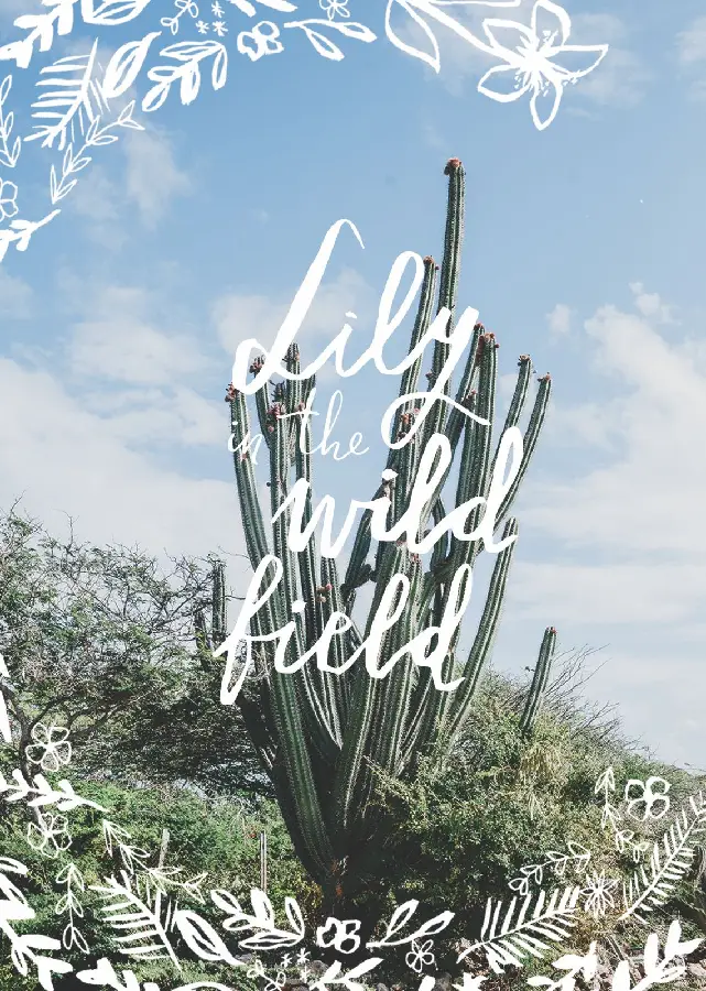 Lily in the wild field