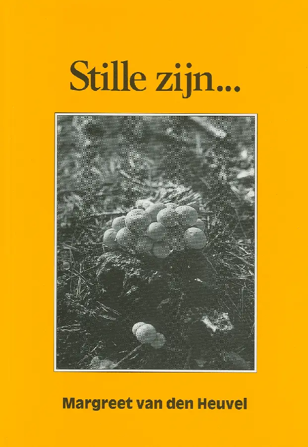Stille zijn