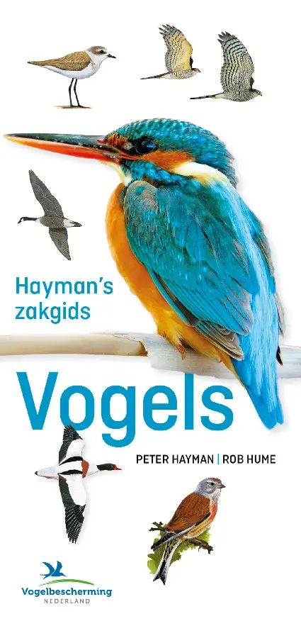 Hayman's zakgids vogels