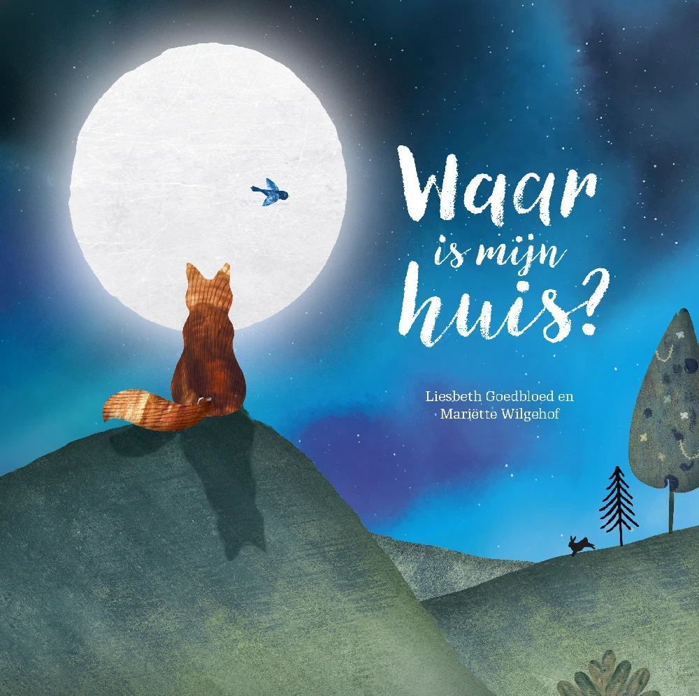 Waar is mijn huis