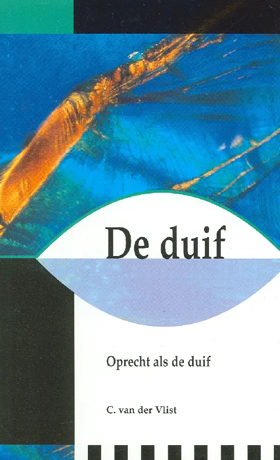 Duif