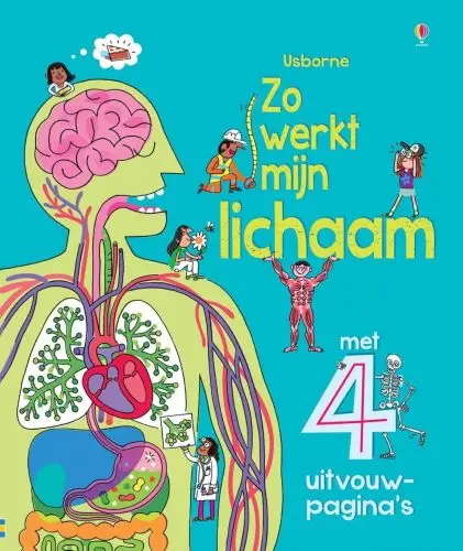 Zo werkt mijn lichaam