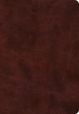 ESV - Super Giant Print Bible