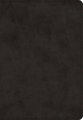 ESV - Super Giant Print Bible