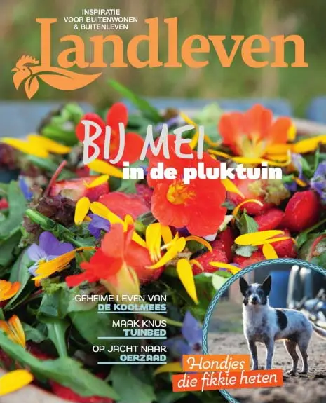 Landleven augustus 2021