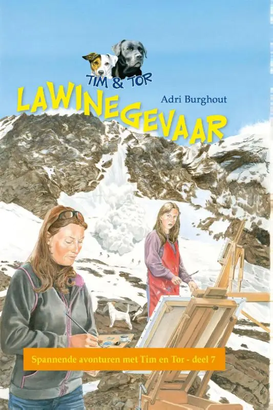 Lawinegevaar