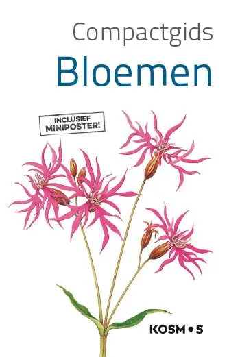 Bloemen