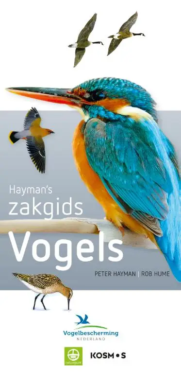 Hayman's zakgids vogels
