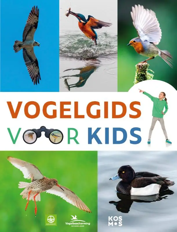 Vogelgids voor kids