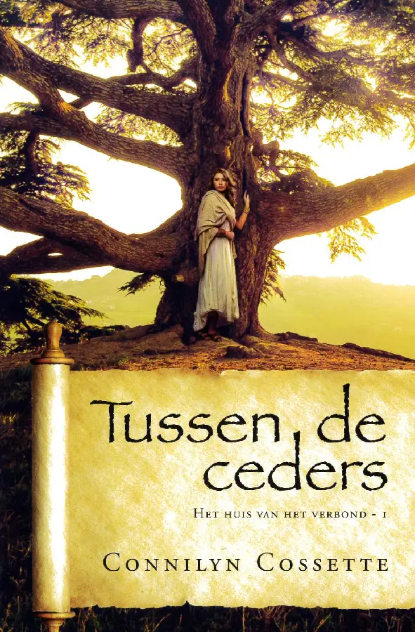 Tussen de ceders