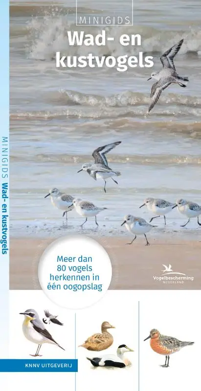 Minigids Wad- en kustvogels