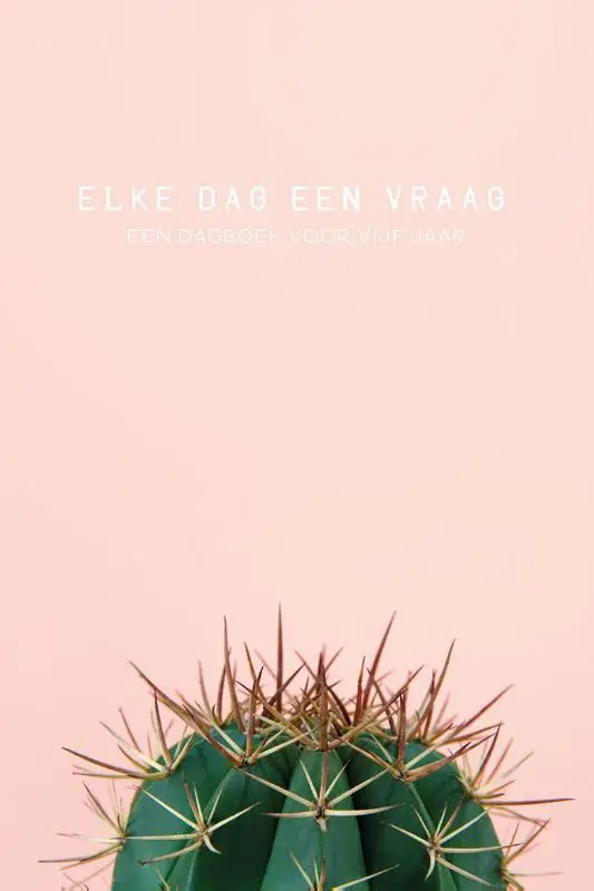 Elke dag een vraag cactus