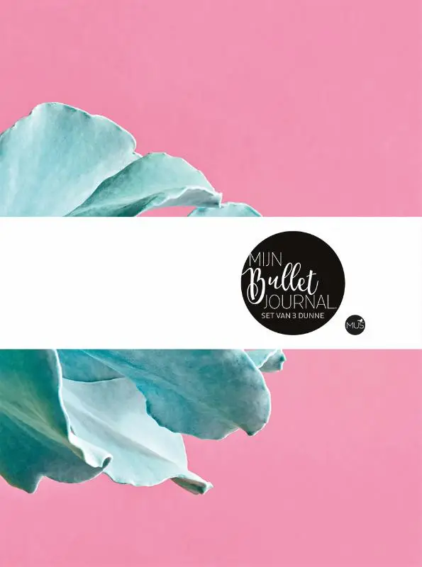 Mijn bullet journal set van 3 bujo's