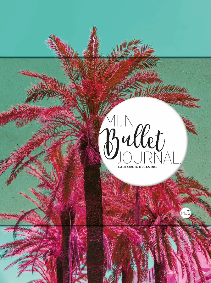 Mijn bullet journal California dreaming