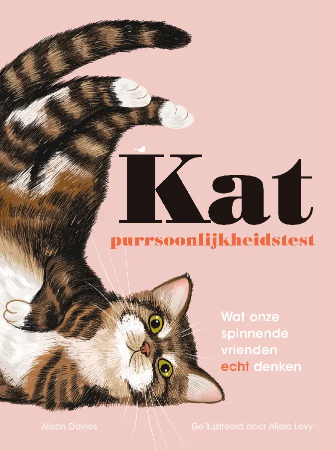 Kat purrsoonlijkheidstest