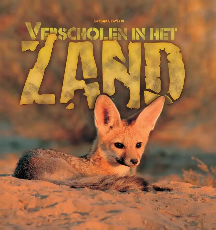 Verscholen in het zand